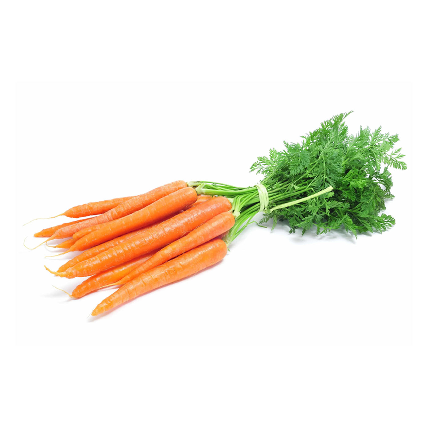 Fresh Carrot - 1 Ton