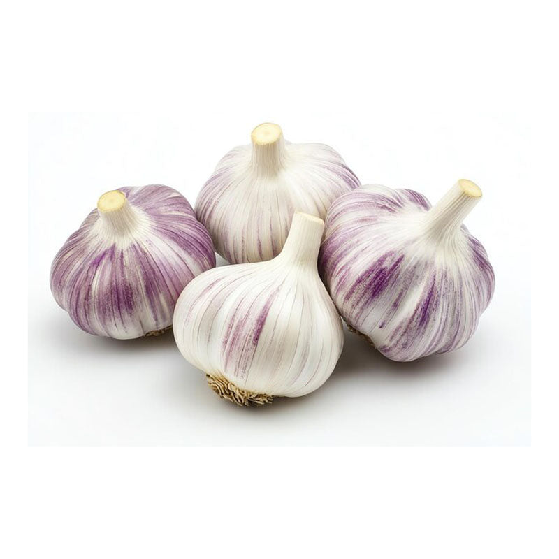 Chesnok Red Garlic - 1 ton